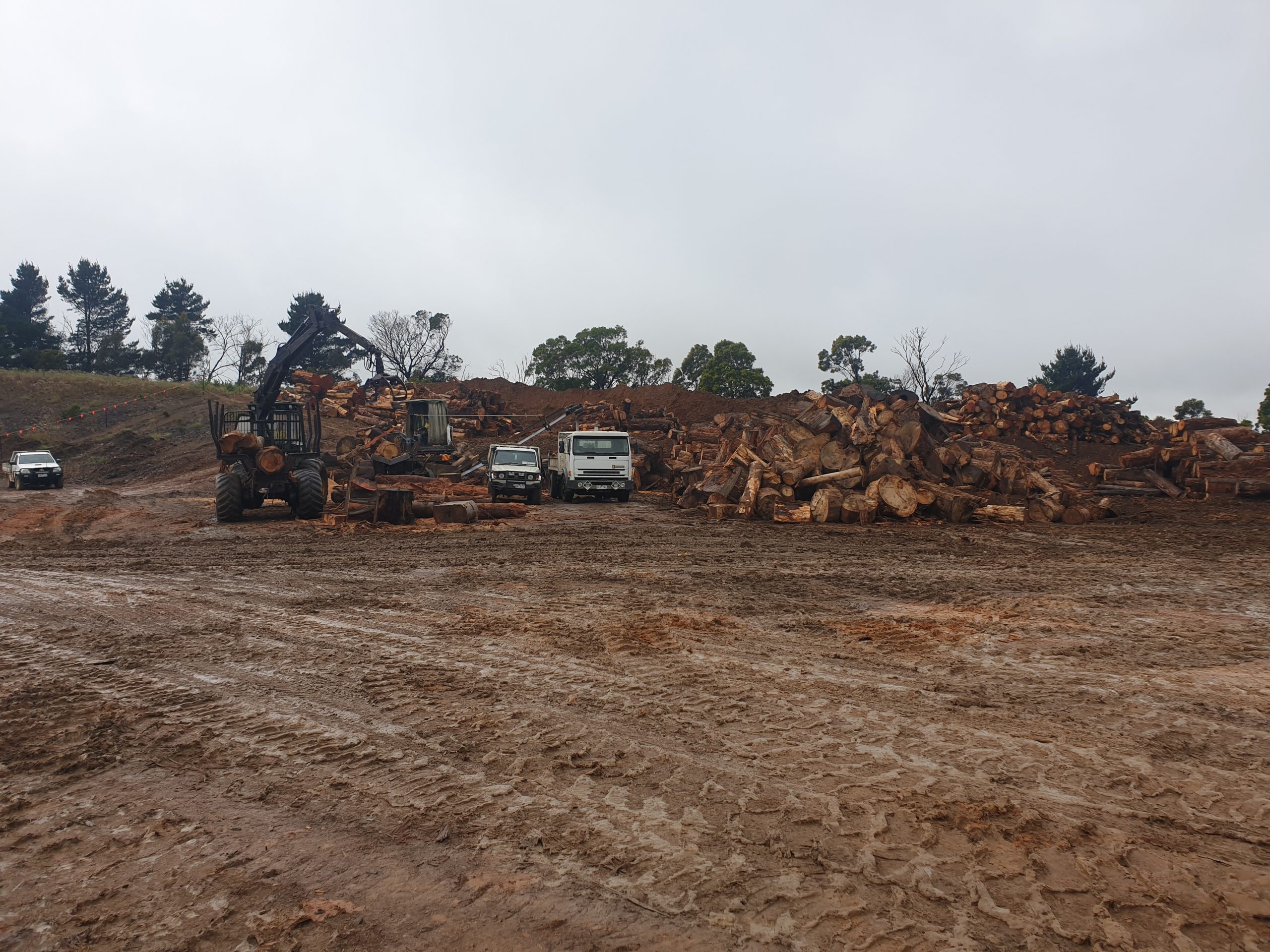 Action OHS and Tree Mason work together for a safe storm clean up